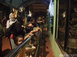 Antusiasme Tinggi Warga Saat TM Ragunan Perdana Buka Malam Hari