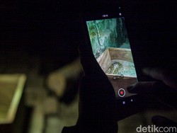 Pengunjung Wisata Malam Ragunan Kecewa Tak Bisa Lihat Satwa, Ini Sebabnya