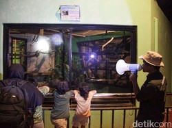 Pengunjung Ngeluh Ragunan Malam Minim Penerangan, Pengelola Bakal Evaluasi