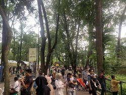 22 Ribu Orang Kunjungi Taman Margasatwa Ragunan hingga Sore Ini