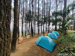5 Rekomendasi Bumi Perkemahan untuk Libur Akhir Pekan di Kuningan