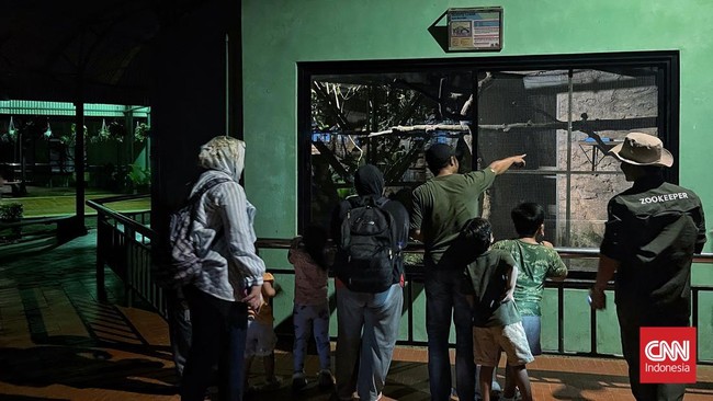 Lebih dari 2.000 pengunjung antusias di hari pertama pembukaan Ragunan Night Zoo pada Sabtu (11/10).