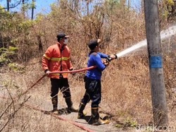 Dua Hektare Kebun Mangga-Jambu Mete di Karangasem Hangus Terbakar