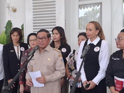 Pramono Bakal Buat Pergub Larangan Konsumsi Daging Anjing-Kucing di Jakarta