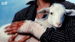 Lirik Lagu Soft - LANY