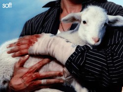 Lirik Lagu Soft - LANY