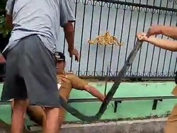 Lurah di Medan Jatuh ke Parit gegara Didorong Warga Saat Bongkar Polisi Tidur