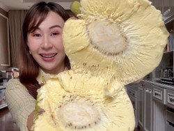 Buah Sukun Asli Indonesia Jadi Buruan di Eropa, Disebut Punya Manfaat Luar Biasa