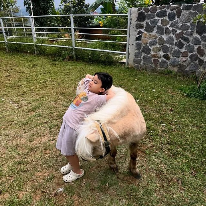 <p>Dalam salah satu potret, Ukkasya terlihat begitu santai saat main&nbsp;bersama seekor kuda. Tanpa&nbsp;ada rasa takut, putra sulung Zaskia Sungkar ini justru sempat bersandar di punggung kuda, lho, Bunda. (Foto: Instagram @zaskiasungkar15)</p>