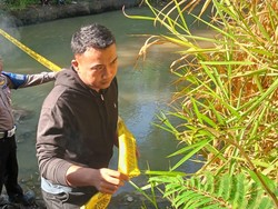 Geger Mayat Pria dan Sepeda Motor Mengambang di Sungai Cipancar Garut