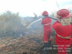 Karhutla di Rambai OKI Sudah 3 Hari Tak Padam, Ini Penyebabnya