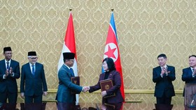 Perdana Sejak 2013 Menlu RI ke Pyongyang Korea Utara, Ada Apa?
