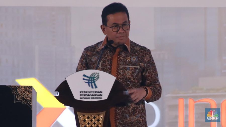 Bukti Sibuknya RI Demi Bebas Jualan ke Negara-Negara Dunia, 16 FTA OTW