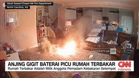 VIDEO: Anjing Gigit Baterai Picu Rumah Terbakar