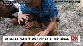 VIDEO: Anjing & Pemiliknya Diselamatkan Setelah Terjebak di Pegunungan