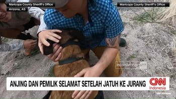 VIDEO: Anjing & Pemiliknya Diselamatkan Setelah Terjebak di Pegunungan