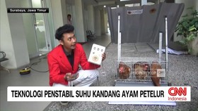 VIDEO: Teknologi Penstabil Suhu Kandang Ayam Petelur