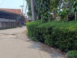 Ketua RT Ungkap Kronologi Penemuan Mayat Pria Penuh Luka Tergeletak di Bogor