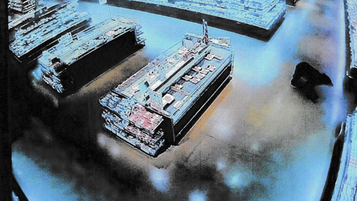 Serangan Beruang Liar 'Teror' Warga Jepang