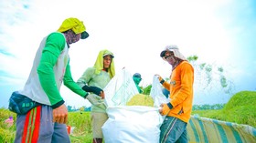 DPR Nilai Kebijakan Pangan Prabowo Tingkatkan Kesejahteraan Petani