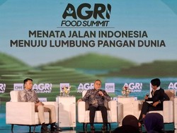 Zulhas Sebut RI Sudah Bisa Swasembada Beras Tahun Ini