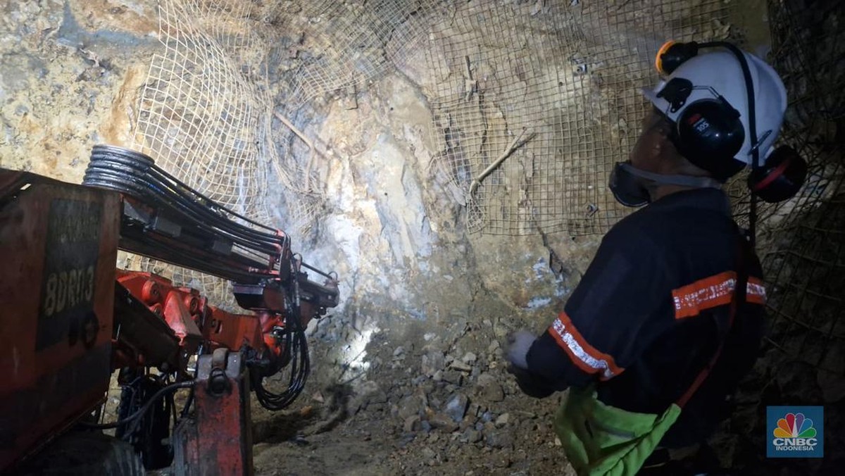 ESDM Buka Peluang Antam Dapat Tambang Emas Baru