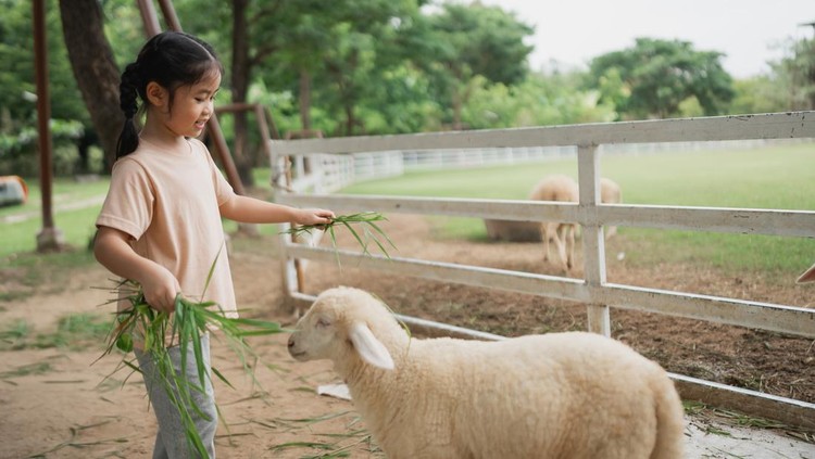 7 Mini Zoo Terdekat di Jakarta dan Sekitarnya 7 Mini Zoo Terdekat di Jakarta dan Sekitarnya