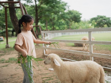 7 Mini Zoo Terdekat di Jakarta dan Sekitarnya, Liburan Seru Bareng Anak