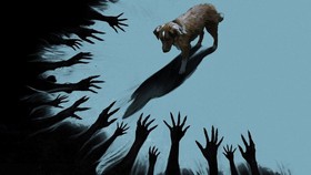 Review Film: Good Boy (2025)