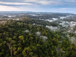 Hutan Lindung Sungai Wain, Paru-paru Kota Balikpapan