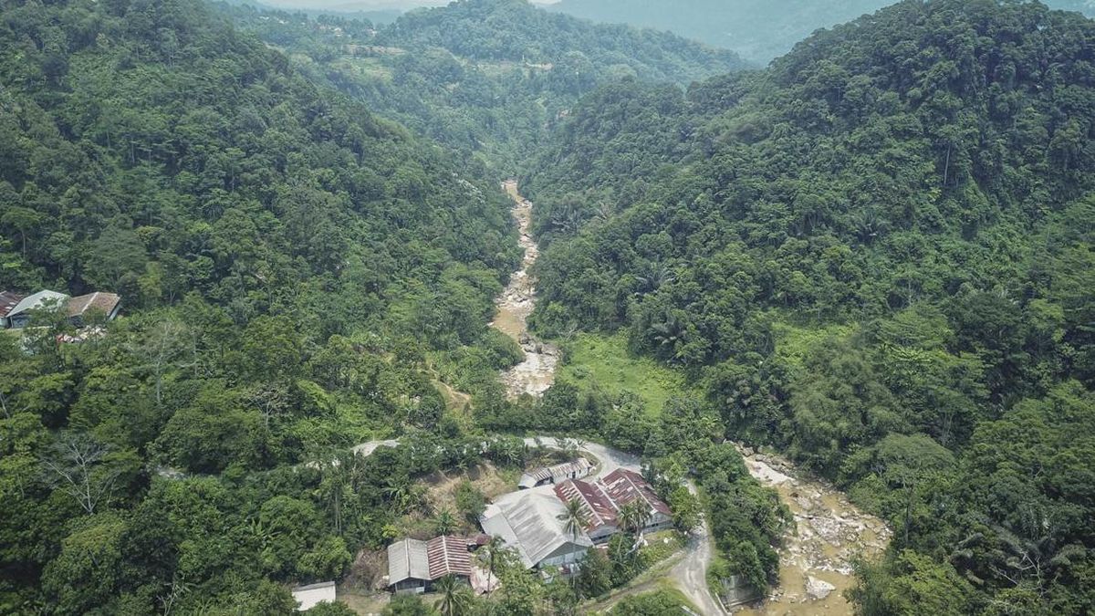 Menyulam Kembali Alam Pongkor Lewat Reklamasi Pascatambang