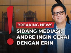 Andre Taulany Keukeuh Ceraikan Erin: Geger usai Berkas Cerai Beredar