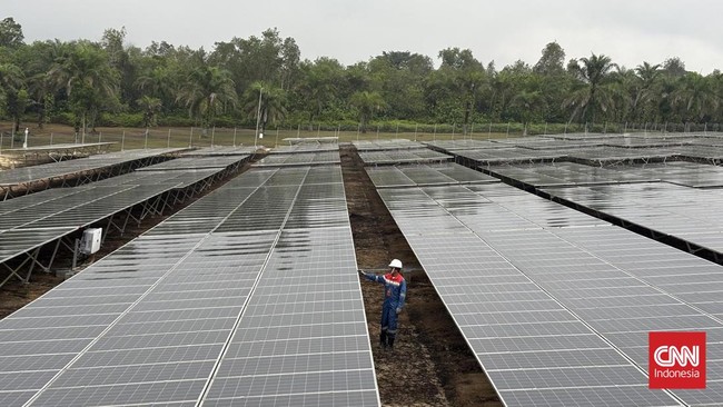 Analyst II Governance Relation Pertamina NRE Arif Mulizar mengungkapkan Pertamina NRE sebagai motor penggerak bisnis energi bersih akan terus mengembangkan solar panel di seluruh wilayah operasional Pertamina Grup.Selain Zona Rokan, Pertamina NRE tel