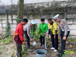 Ojol di Pelalawan Antusias Tanam Pohon Sambil Perpanjang SIM Gratis Ojol di Pelalawan Antusias Tanam Pohon Sambil Perpanjang SIM Gratis