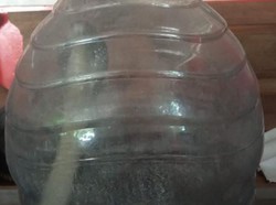 Ular Kobra Ditemukan di Kamar Mandi Saat Pemilik Rumah Mau Wudu