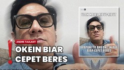 Erin Ancam Bongkar Aib, Andre Taulany: Udah Males Ribut-ribut