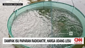 VIDEO: Dampak Isu Paparan Radioaktif, Harga Udang Lesu