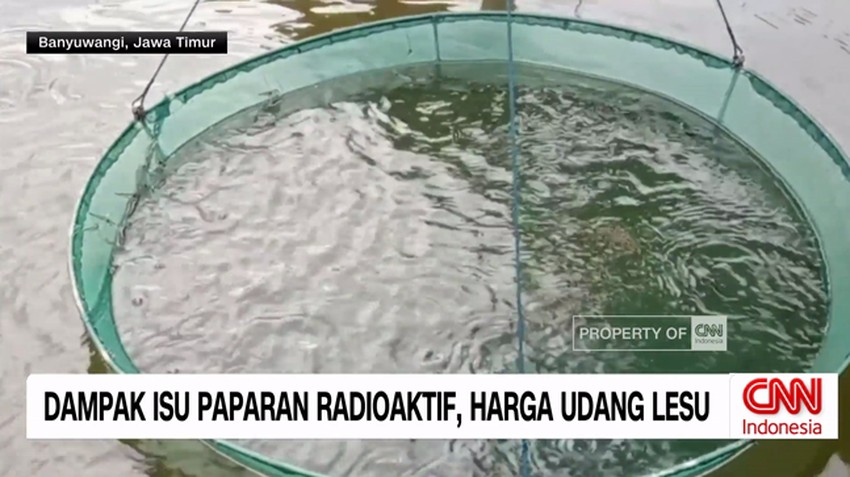 VIDEO: Dampak Isu Paparan Radioaktif, Harga Udang Lesu