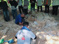Fosil Gajah Purba Stegodon Ditemukan Utuh di Pegunungan Nganjuk