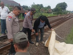 Pria Kendal Tewas Tertabrak KA Sembrani Saat Jalan di Pinggir Rel Pegandon