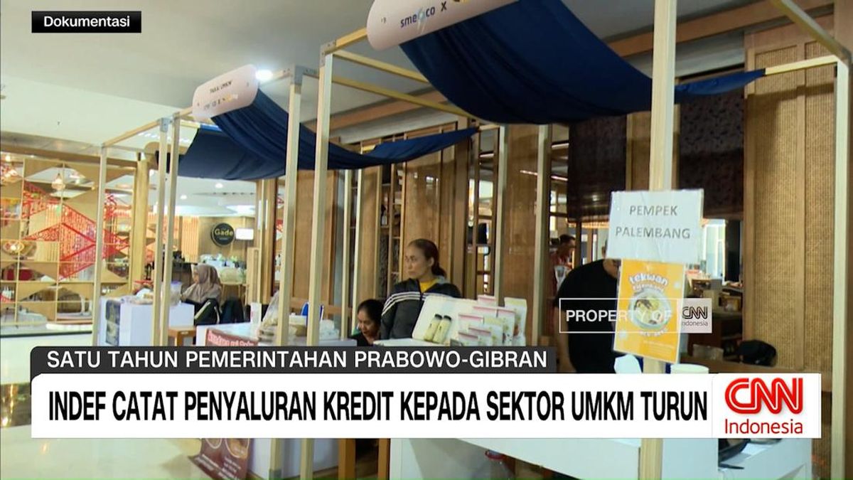 VIDEO: INDEF Catat Penyaluran Kredit ke Sektor UMKM Turun