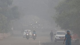 New Delhi Akan Diguyur Hujan Bersejarah Pekan Depan, Ada Apa?