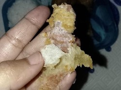 Geger Plester Bekas di Menu MBG Sukabumi, Berikut Fakta-faktanya