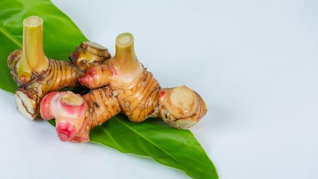5 Manfaat Lengkuas bagi Kesehatan