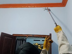 Damkar Kuningan Evakuasi Tokek yang Bikin Keluarga Silvia Sulit Tidur