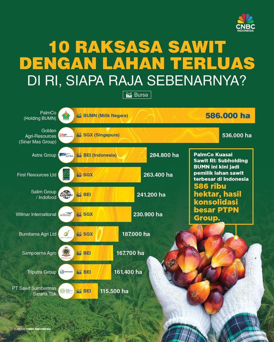 10 Raksasa Sawit dengan Lahan Terluas di RI, Siapa Raja Sebenarnya?