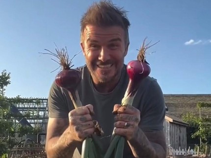 David Beckham Kini Hobi Ternak & Kebun, Girang Saat Panen Bawang