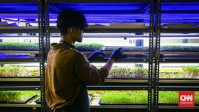 Melihat Peran Besar UMKM Bagi Ekonomi RI dan Program Ber-Daya-nya