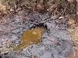 Heboh! Sumber Diduga Minyak Muncul di Nganjuk