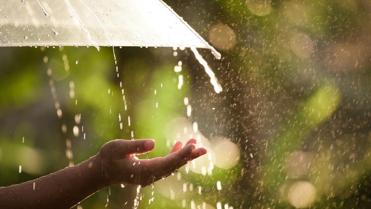 Ilustrasi hujan Woman hand with umbrella in the rain in green nature background